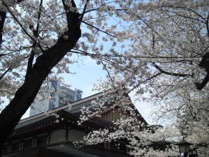 130328_Yasukuni-Shine